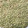 Jack Rabbit Jack Rabbit Lentils 1lbs, PK24 305365230